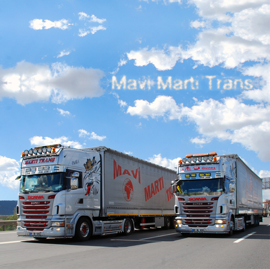 mavimartitrans_iletisim